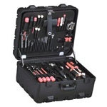 359T-SGSH by platt luggage