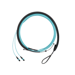 FZTRP7NQSONF017