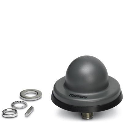 RAD-ISM-2459-ANT-FOOD-6-0-