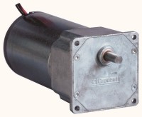 80835004