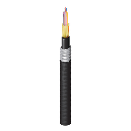 FD3D024A9-010
