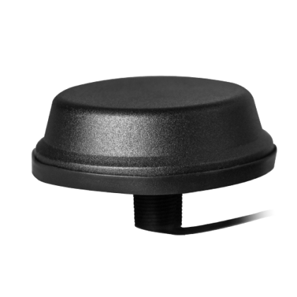 TANGO442.5MLLSMAMSS19