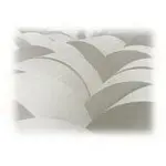 NAP-0058-015
