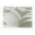 NAP-0058-025