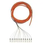 F66D3-NM2Y