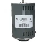 PDL-36