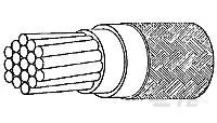 262029-001