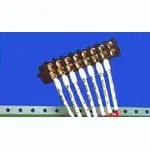 497070001