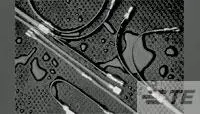 CC2646-000