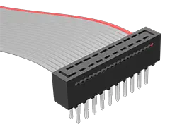 HCMD-12-T-06.00-02-S