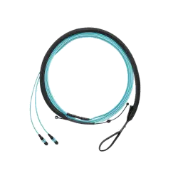 FZTRP7NQSONF017