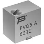 PVG5A501C03R00