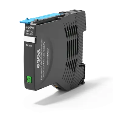 REX12D-TA1-100-DC24V-8A