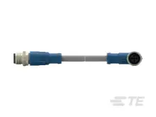 T4162124004-005