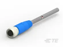 T4161320008-003
