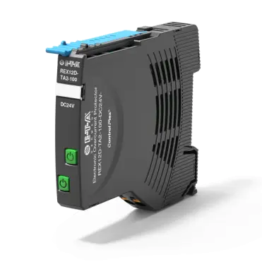 REX12D-TA2-100-DC24V-1A/1A