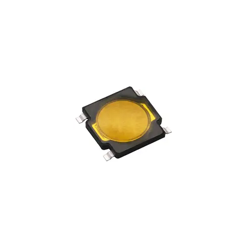 RKA2SGK055SMTRLFS