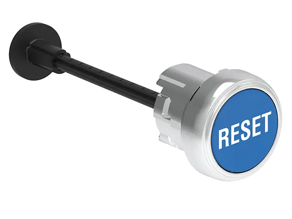 LPSR1196
