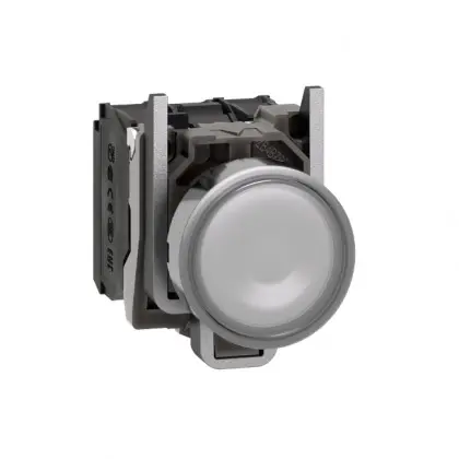 XB4BW31B5