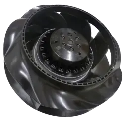 NSYCUSP0137